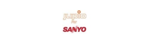 CHARGEUR DOUBLE SANYO