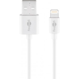 Câble de Charge et de Synchronisation Lightning USB