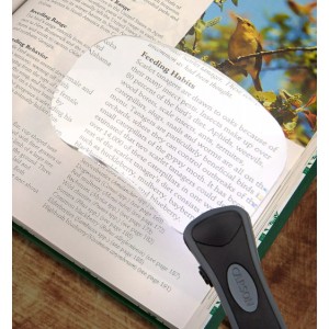 CARSON loupe rectangulaire LED 2x